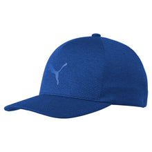 Puma Evoknit Delta Flexfit Hat