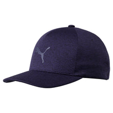Puma Evoknit Delta Flexfit Hat