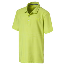 Puma Junior Pounce Aston Golf Polo